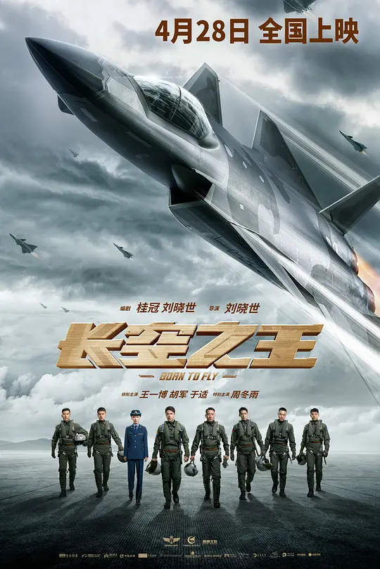 长空之王插图