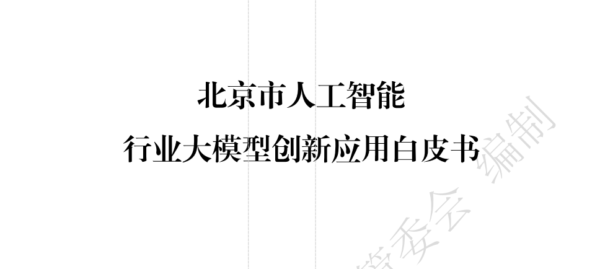 北京市人工智能行业大模型创新应用白皮书